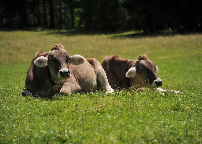 아파트 Haus Moosalm